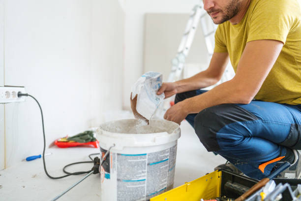 Best Environmental Consulting for Mold Prevention  in Hamlet, IN