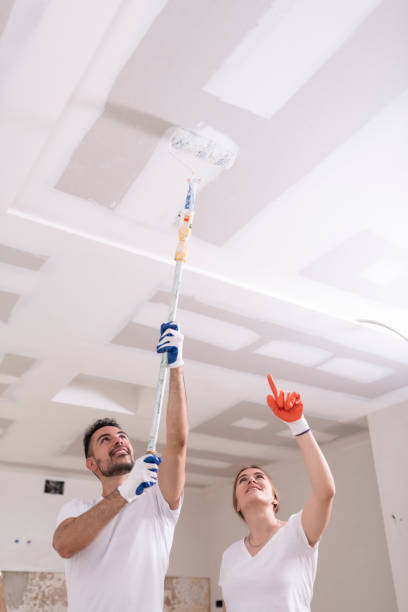 Best Mold Damage Restoration  in Hamlet, IN