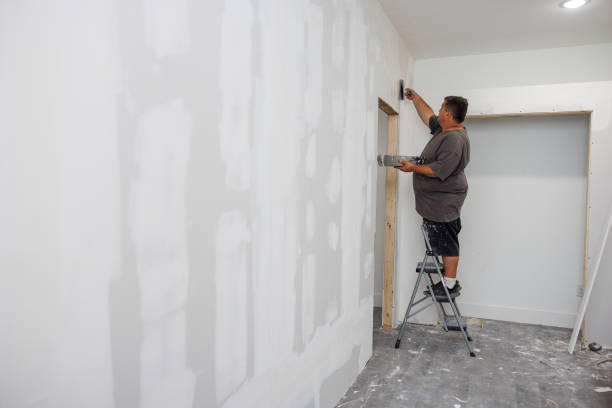 Best Crawl Space Mold Remediation  in Hamlet, IN