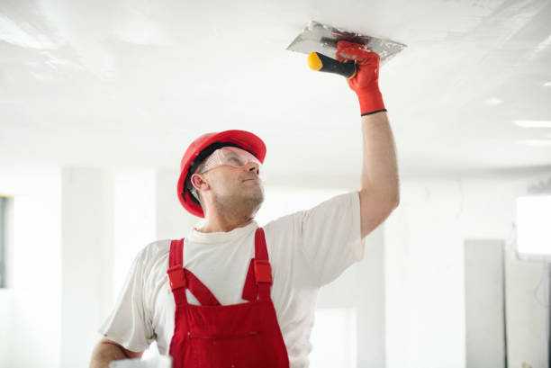 Best Emergency Mold Remediation  in Hamlet, IN
