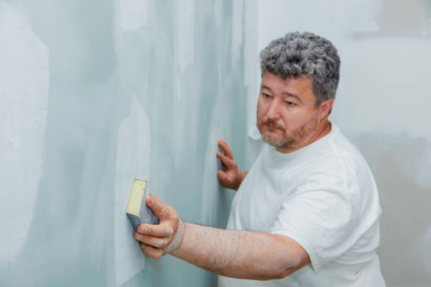 Best Dehumidification Services  in Hamlet, IN